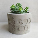 Vaso Artesanal em Cimento